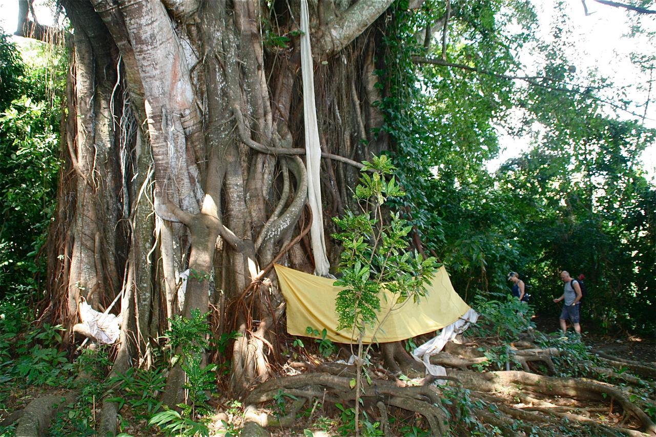 Rumah Kita Lovina Εξωτερικό φωτογραφία