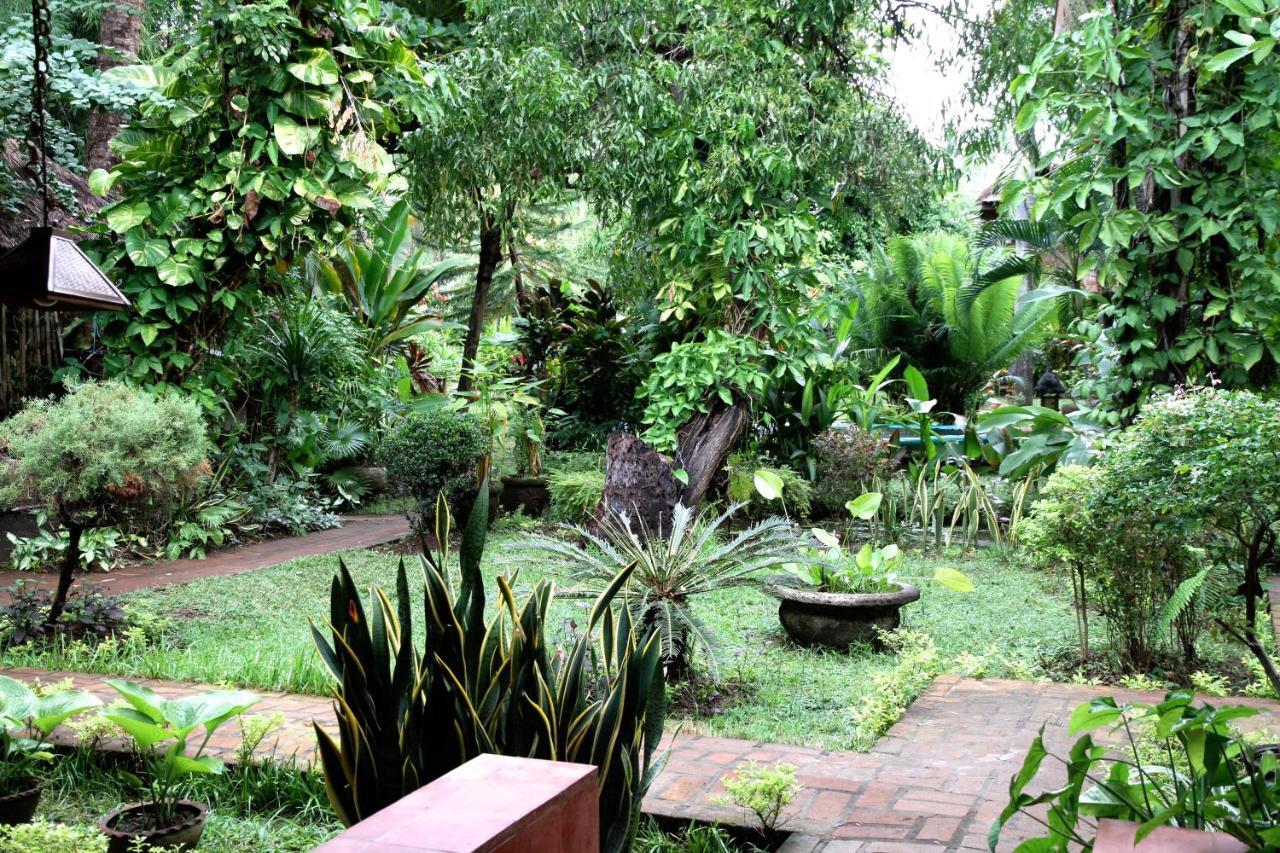 Rumah Kita Lovina Δωμάτιο φωτογραφία